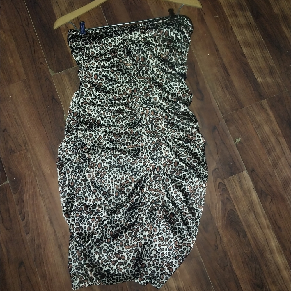 Beautiful cheetah dreas